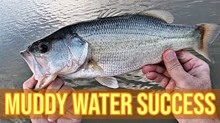 🎣 Fall Bass Fishing in COLD MUDDY water 🍂