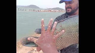 3.6KG PAMPLET ....LOCATION: NAGARJUNA SAGAR ZERO POINT..