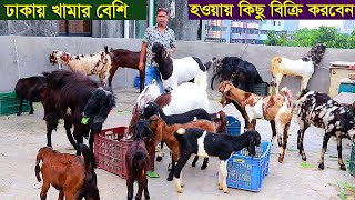 ঢাকায় ছাগলের খামার বেশি হওয়ায় কিছু বিক্রি করে দিবেন goat farm