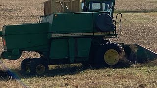 Checking on the apple and pear trees and driving the Mason county roads