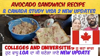 AVOCADO Sandwich Recipe ਦੇ ਨਾਲ ਨਾਲ ਜਾਣੋ Canada Study Visa 2 New Updates regarding quota, LAO and PAL