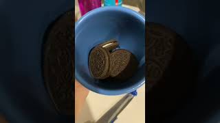 How to make Oreo mug cake ~ easy (study snack) || 2 INGREDIENTS!! || Revisely 🍰✨