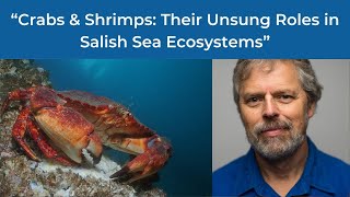 The Future of Oceans lecture series - The Unsung Roles of Crabs and Shrimps