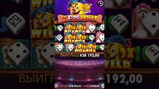 ОГРОМНЫЙ ЗАНОС В СОБАКАХ ПО 220Р СМОТРЕТЬ ДО КОНЦА #занос #slot #казиноонлайн #стрим #maxwin #bigwin