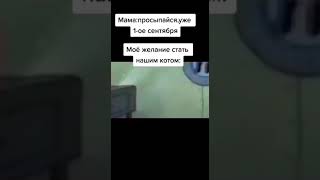 мемы №244 #shorts #memes #mem #мемы #мемасы