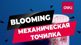 Механическая точилка Blooming DELI