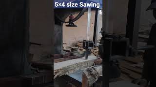 premium Teak wood sizing in Indian sawmill #cutting #amazing #short #sawmill #ytshorts #india #viral