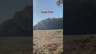 Large field at Ranger Trail in Codorus State Park @dayhikingandherpingdudes