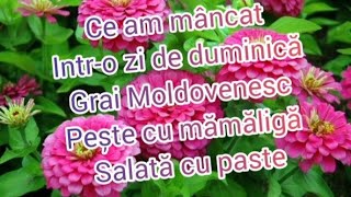 Ce am mâncat intr-o zi de duminică (grai Moldovenesc)pește cu mămăligă/salata cu paste...