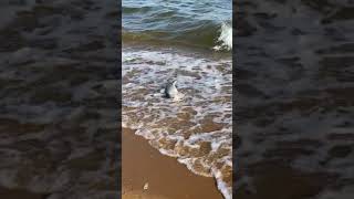 Fishing at Sandy Point