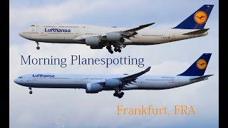 Planespotting Frankfurt, FRA