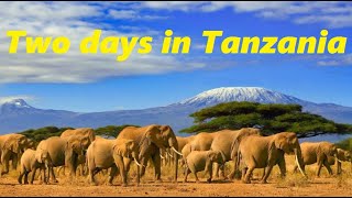 2 DAYS IN TANZANIA (Africa's Best Country!) How to Buy a Japanese Used Car in Zambia