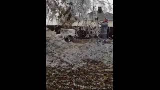 How to remove a Tree