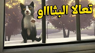 Copycat: هنلعب لعبة بتلعب فيها بقطة