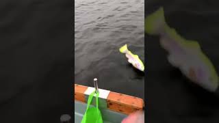 Giant lure #fish #fishing #lure #sea #ocean #shorts