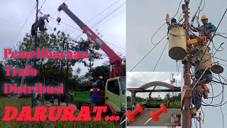 Pemeliharaan Trafo Distribusi 20 KV | Trafo 1 Phasa 20 KV | #plnjateng@altafteknik801​