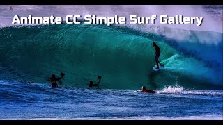 Adobe Animate: Image Gallery (surf)