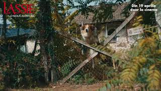 Lassie - o nouă aventură | 🐶 din 19 aprilie în cinematografe!