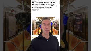 NYC Subway banned dogs unless they fit in a bag! 🐶 So New Yorkers got creative…