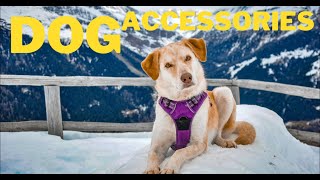 Top 10 Best Dog Accessories - Dogs Luxury Accessories - Pet Accessories