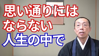 思い通りにはならない人生の中で、仏と共に生きる。　（ショート法話513）