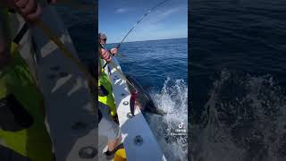 #fishing #tuna #fishingvideo #fish #tunafishing #sportfishing #mahifishing #mahi