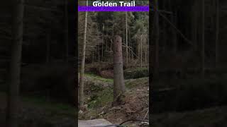 Llandegla MTB - Golden Trail #Short