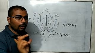 Class X Life science ফুলের বিভিন্ন অংশ - different parts of flower