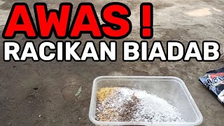 RACIKAN BIADAB ! LANGSUNG BUKPAR ! CIGUN PASTI CEPAT NGRIWIK NGEBREN DENGAN RACIKAN PAKAN INI.