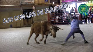 👀 OJO CON LAS DE EULOGIO!! Aldeanueva de Ebro (6-5-22)