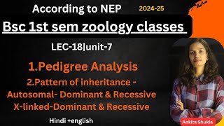 BSc 1st sem zoology class|lec-18|unit-7|Pedigree analysis, pattern of inheritance-Autosomal &,X&Y