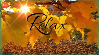 Zen Style relaxation music  *  For relaxation, relaxation, spa, meditation