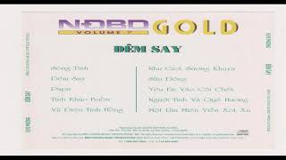 Elvis Phương - Đêm Say (NĐBD Gold)