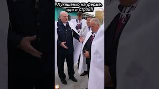 🔥🔥🔥Лукашенко на ферме:  ИДИ и СТРОЙ!! #shorts