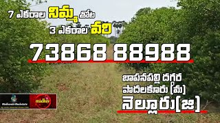 10 Acres Agri Land for sale || 32 Km From Nellore City || MRE55 || 7386888988 || #MadhavTv