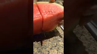 How to Slice  Watermelon ASMR #watermelonsounds #asmrsounds #watermelon