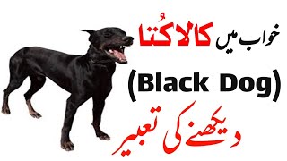 Dog In Dream Meaning | khwab mein kala kutta dekhba | khwab mein dog dekhna ki tabeer