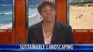 Sustainable Landscaping