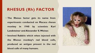 General and Molecular Genetics, MSc II, Lecture # 07