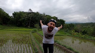 Eugen Ambur Lombok Travel VLOG | How Rice Is Grown in Indonesia & Eating Traditional Indonesian Food