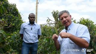 #DeOlhoNaLavoura | NUTRIÇÃO DA PLANTA NO PÓS-FLORADA