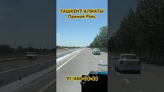 Ташкент Алматы Спальный Салон #sevgi #milliy #uzb #1m #rek #sevishganlarsuhbati #tiktok #top #таш