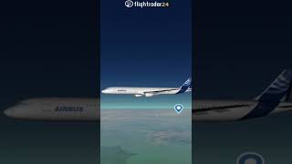 Flightradar24 ✈🛫 3D Flight Tracker #airplane #airbus #citylink #shorts #flight #flightradar24 #viral