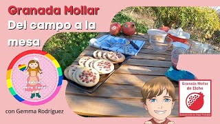 Granada Mollar del Campo a la Mesa con Gemma Rodriguez