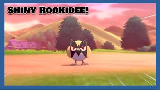 I Found Shiny Rookidee After 60 Encounters With Mark! (Pokemon Shield)