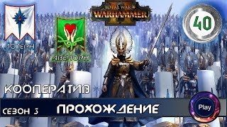 Total War Warhammer 2 \ Прохождение игры \Сезон 3 \ Часть 40 \ Кооператив за высших эльфов