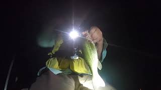 Nighttime fishing! Father daughter team, big Lake, Minnesota, fishing!￼￼