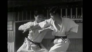 Shotokan Goshinjitsu Isudori 08