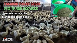 Takaran pakan bebek hibrida usia 15 hari