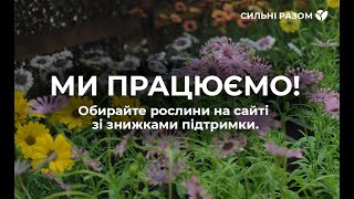 МИ ПРАЦЮЄМО | Обирайте рослини на сайті зі знижками підтримки | СИЛЬНІ РАЗОМ | Agro-Market.ua